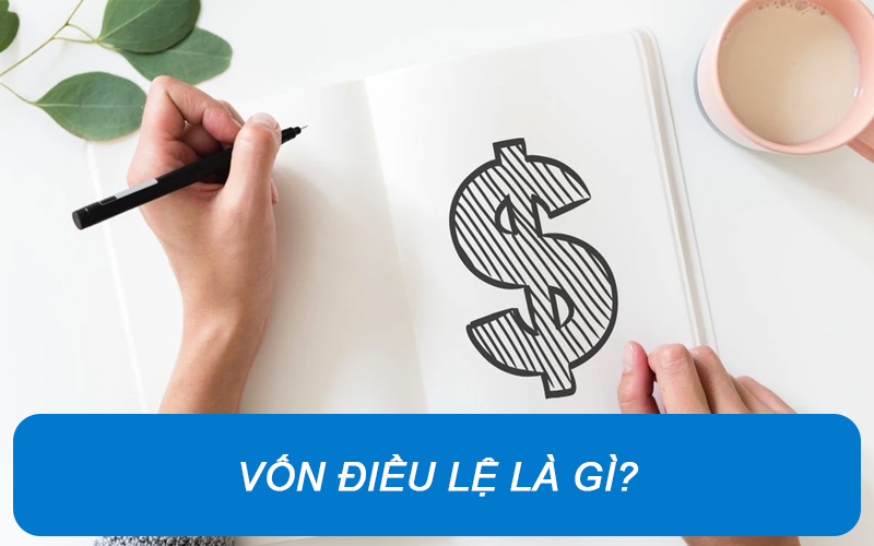 Vốn điều lệ là gì? Những điều cần lưu ý về vốn điều lệ